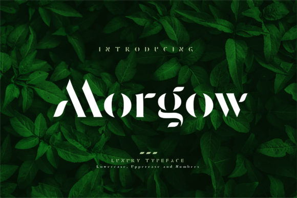 Morgow: An Elegant Display Font for Branding